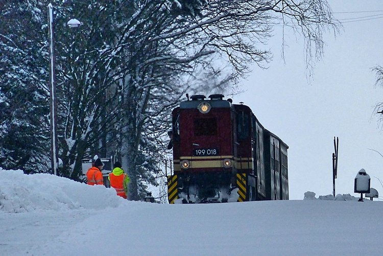 Jonsdorf - Diesellok 199 018