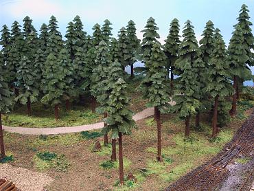 Oh du sch&ouml;ner Wald!