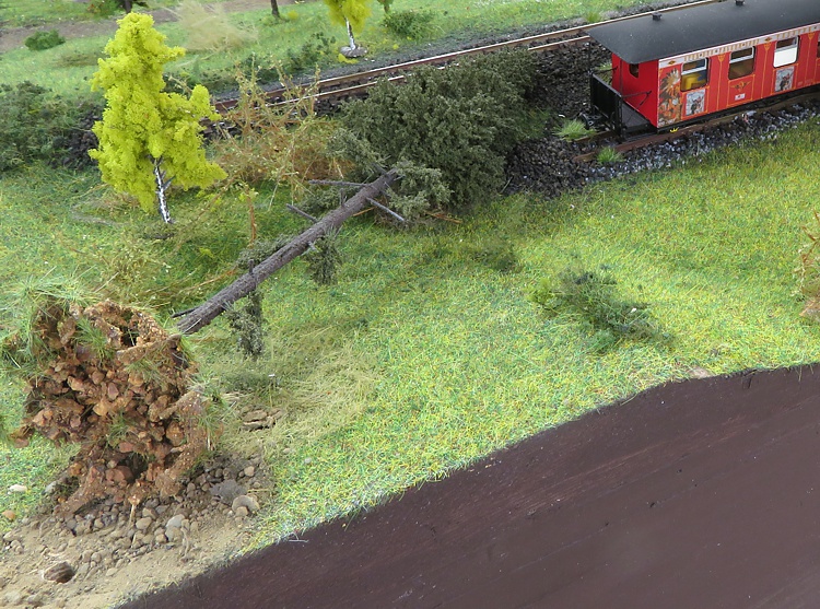 Sturmschaden im Jonsdorfer Bahnhof