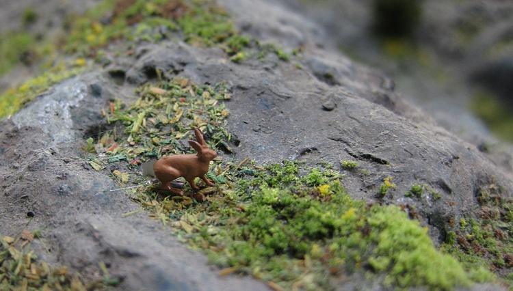 Wald in dem auch ein Hase lebt