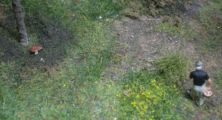 Pilzsammler im Wald